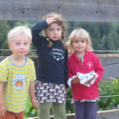 Landhaus Seebacher Spital Am Pyhrn Eksteriør bilde
